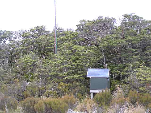NZ leden-unor 2006 199.jpg